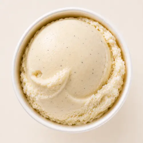 Vanilla Bean ice cream scoop